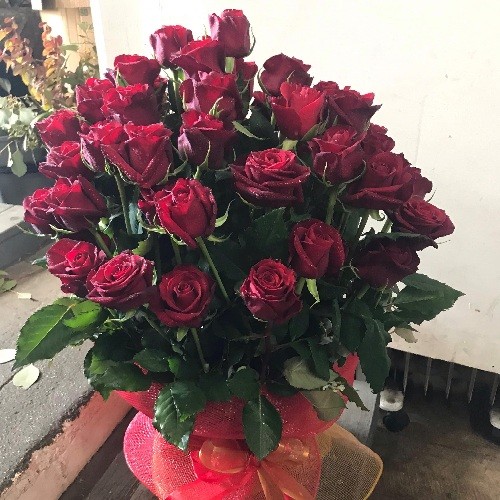 50 red rose delight